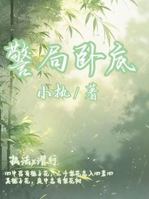 警局卧底