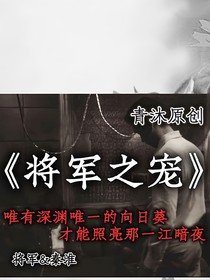 將軍之寵之罪與罰