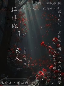 抓住你了，夫人