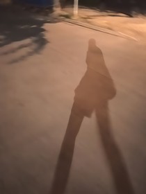织梦：咸鱼的自我救赎