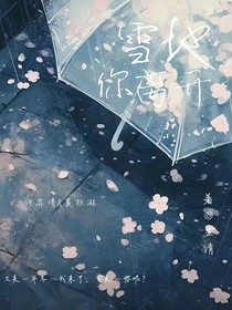 雪地你离开