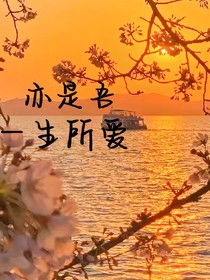 亦是吾一生所爱