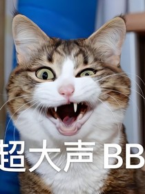 救命，你不要跟着我啊