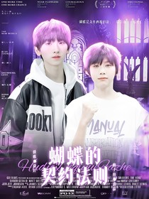 TF家族：蝴蝶的契约法则