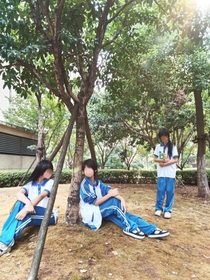 樹影下的心動(dòng)