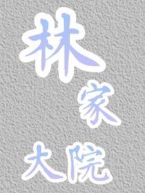 林家大院-d349