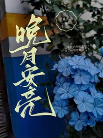 晚安，月亮