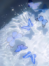 蝴蝶集