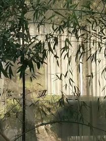 暮雪望漓（吐槽版）