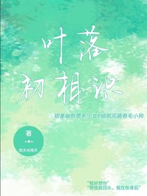 叶落初相识