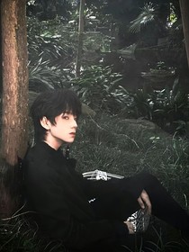 all橹：骨骼里不枯的白玫瑰