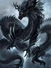 魔龙战队龙皇者