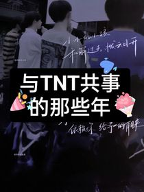 和TNT共事的那些年