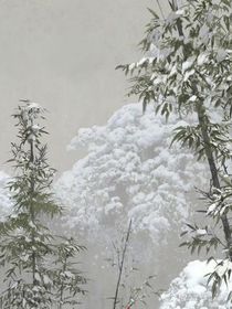藕饼：今天总裁转正了吗