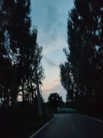 公子与娇妻