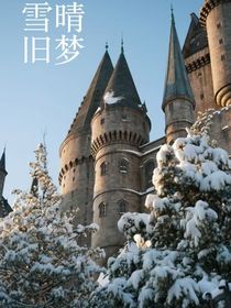 雪晴旧梦
