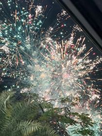 張真源：籍籍有名