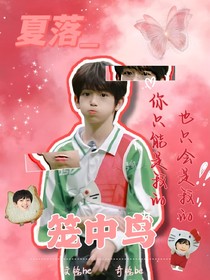 奇銘：籠中鳥(niǎo)