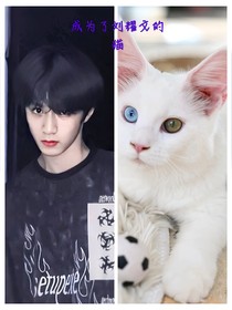 成为刘耀文的猫