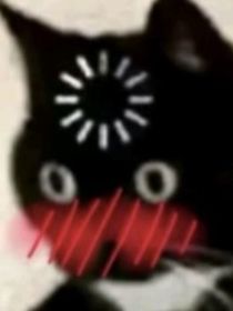 风玲玲