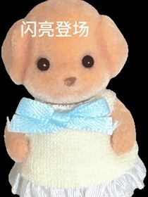 面包體隨筆