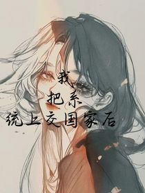 我把系统上交国家后