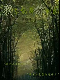 我不能帶你回家