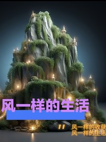 風(fēng)一樣的生活