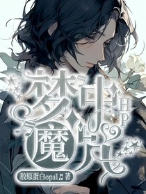 HP：梦中魔咒
