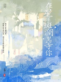 在星辉斑斓里等你