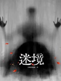 ——迷境——