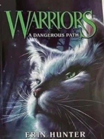 WARRIORS——她的故事