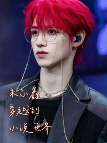 朱志鑫：穿越到小说世界