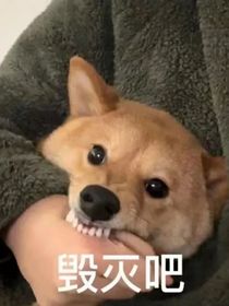 輪回（變形金剛）
