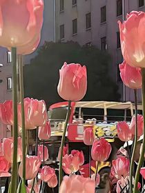 利益糾纏（源軒）