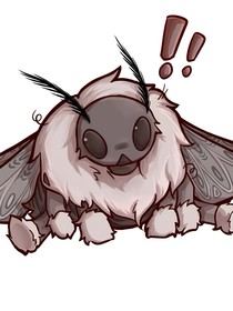 斗龙……