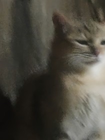 （虚幻的梦境）