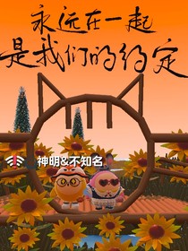 空空愿风