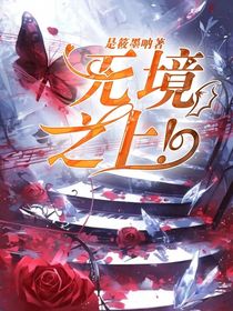 无境之上！