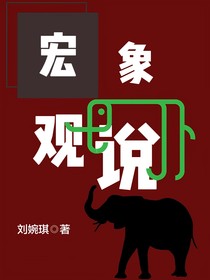 宏观象说