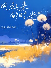 风起来的时光