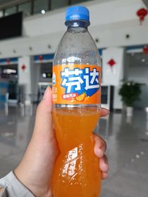 所念即所想（诗集）