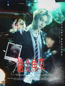 Bonice：姬金魚草