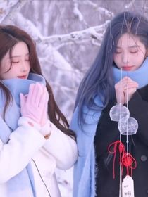 偏偏来时不逢春