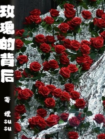 玫瑰的背后