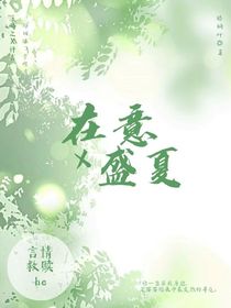 在意X盛夏