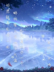 好想能再见你一面