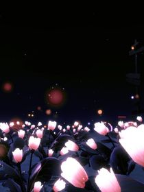 八卦一下日常