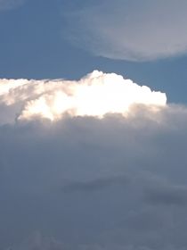霸道女總愛上我……弟