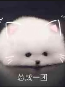 晚自習(xí)雜文